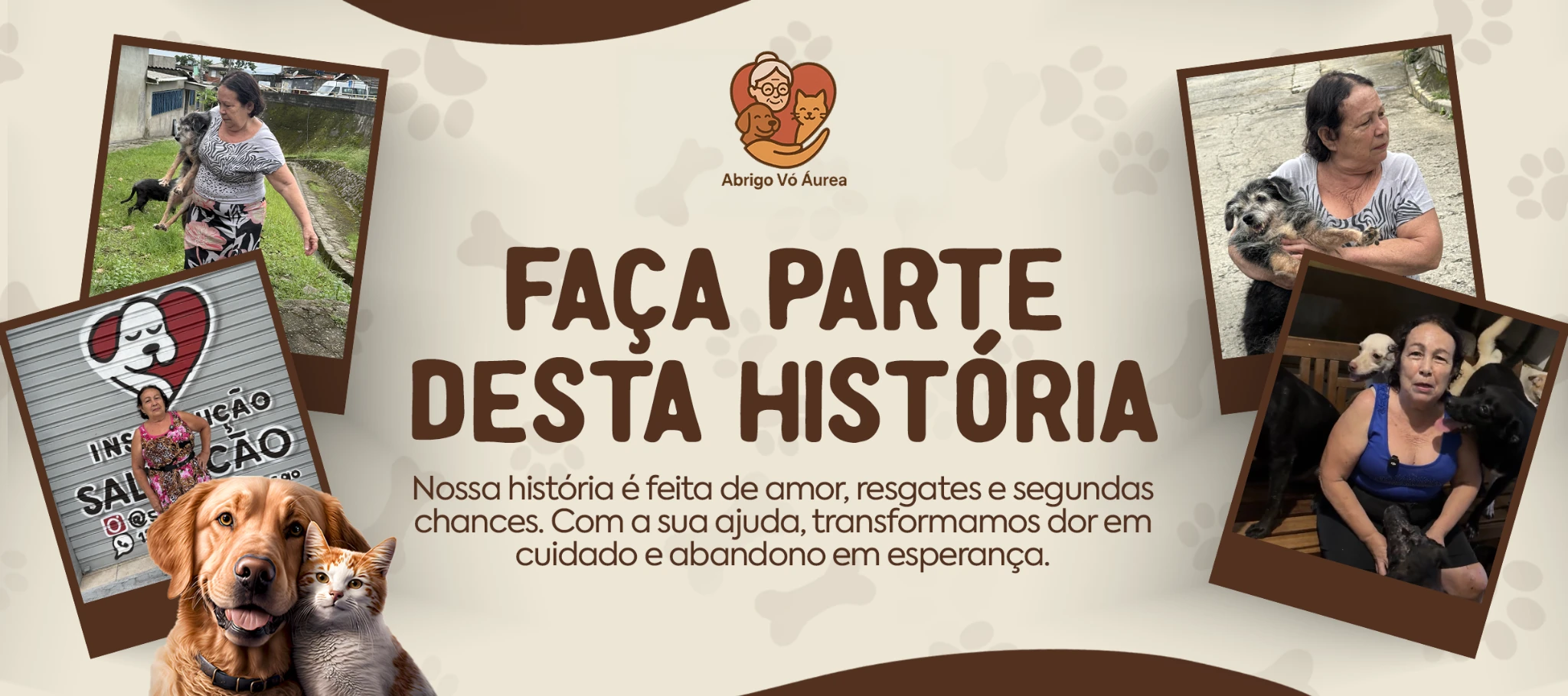 História do abrigo Voa Áurea